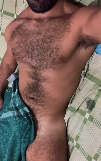 Bruno Campos Peludao Safado